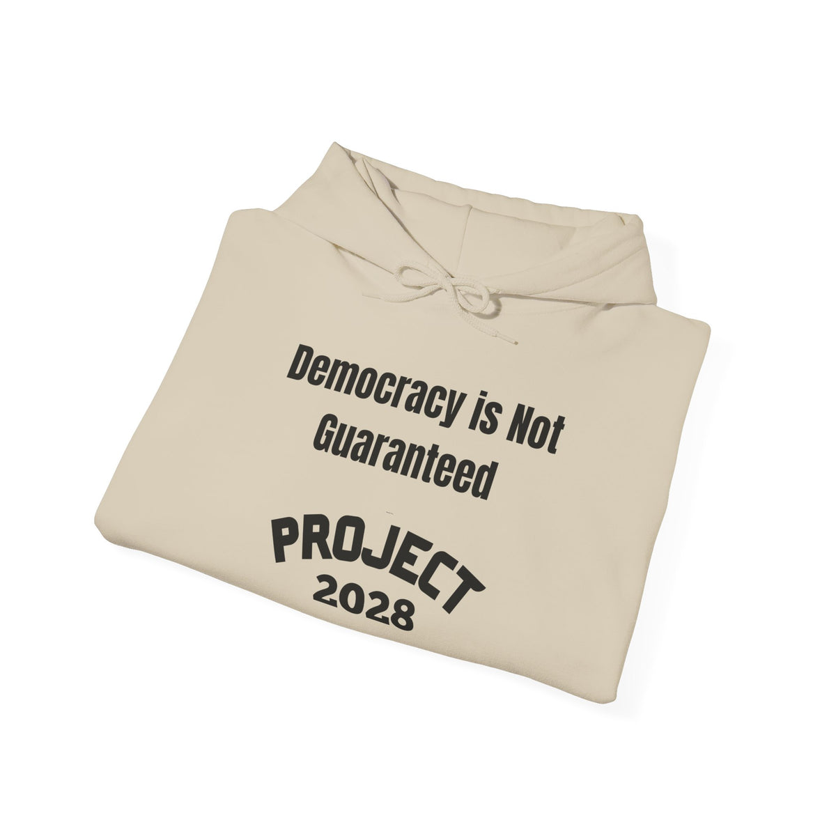 Copy of Project 2028 hoodie | Democracy | Social Awareness