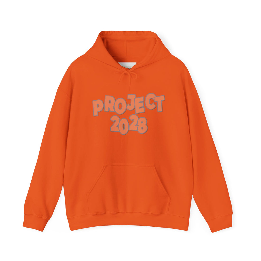 Project 2028 Hoodie | Democracy | Social Justice Message