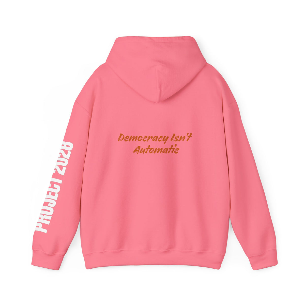 Project 2028 Hoodie | Democracy | Social Awareness