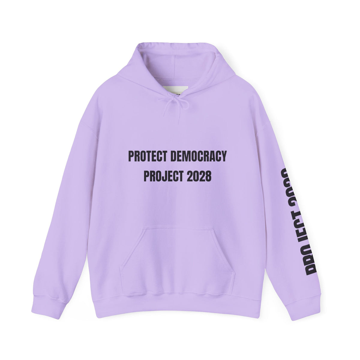 Protect Democracy Project 2028 Hoodie | Social Awareness