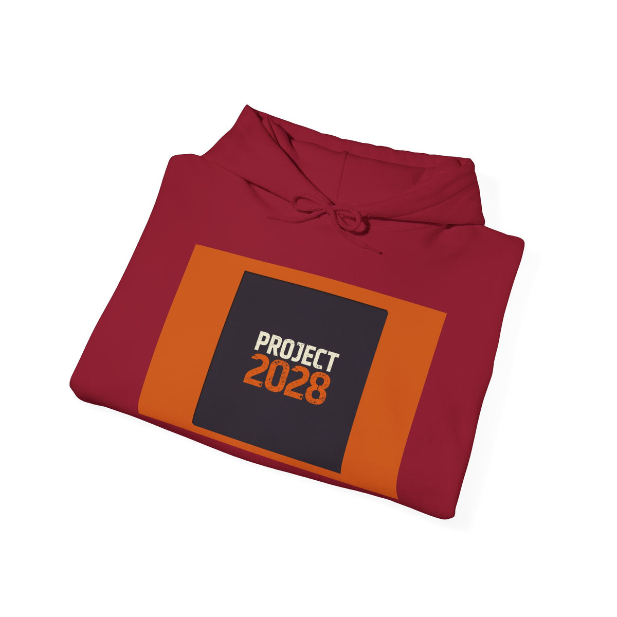 Project 2108 Graphic Hoodie | Democracy Isn't Automatic Back Print