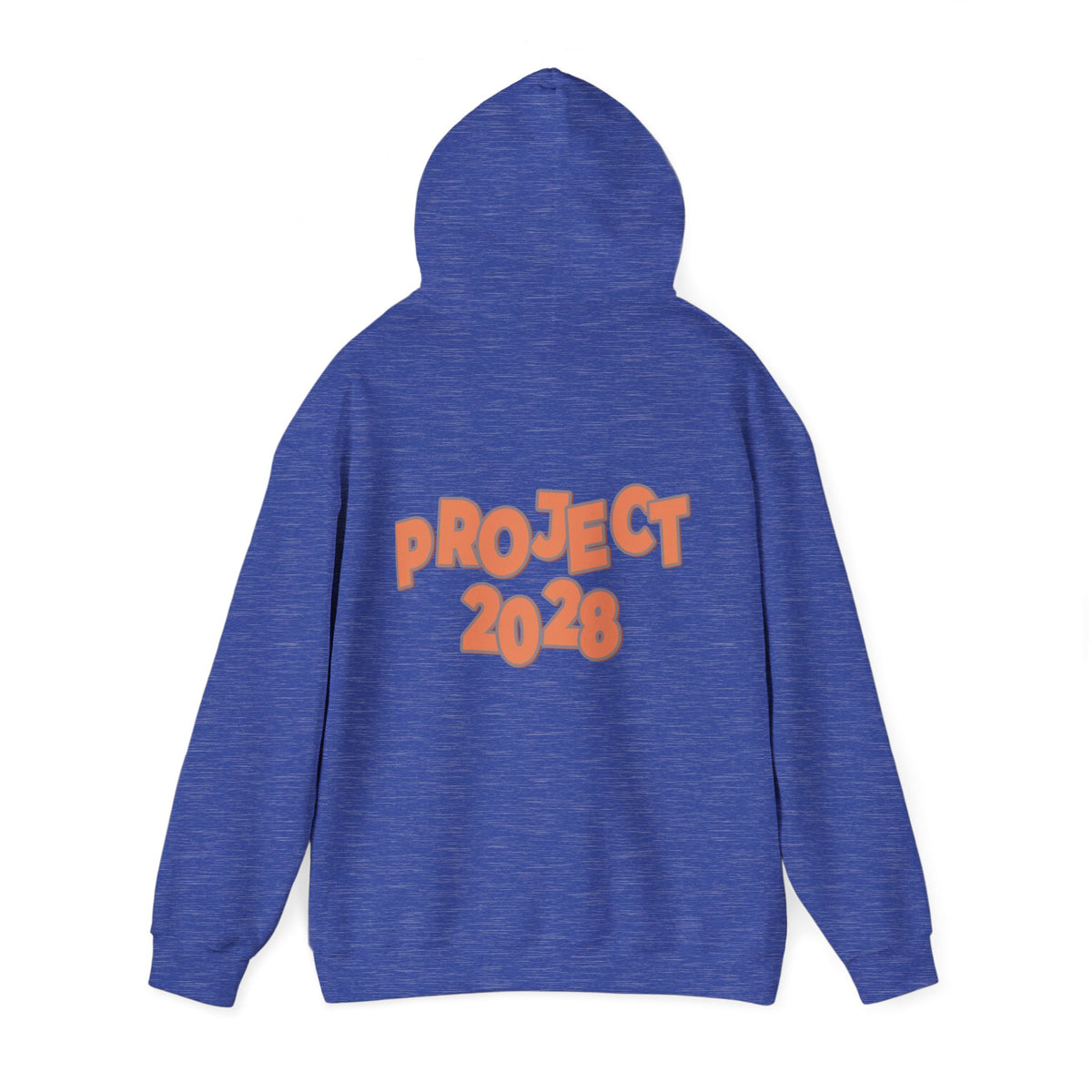 Protect Democracy Project 2028 Hoodie | Social Awareness