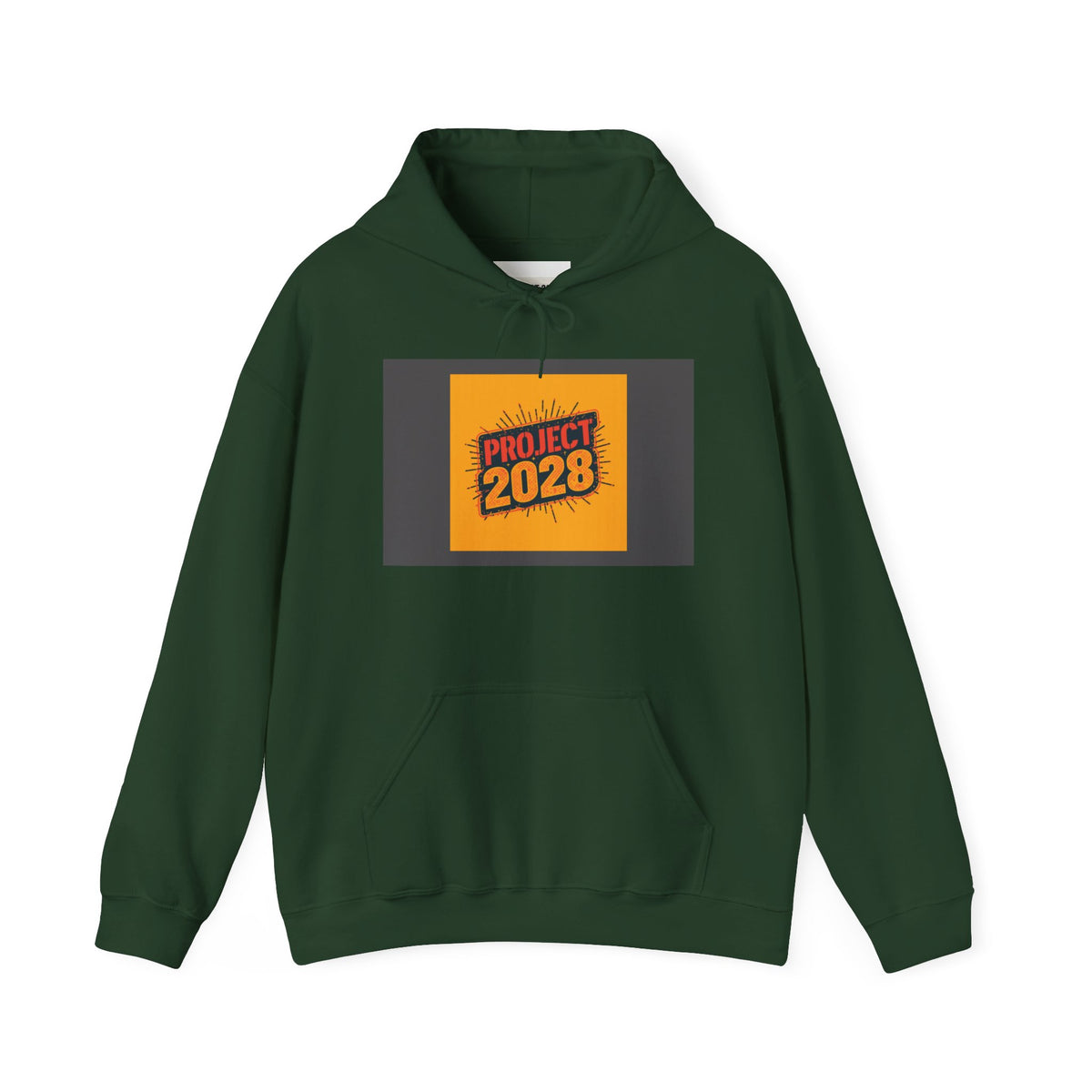 Democracy Is Not Automatic Hoodie | Project 2028, Bold Text