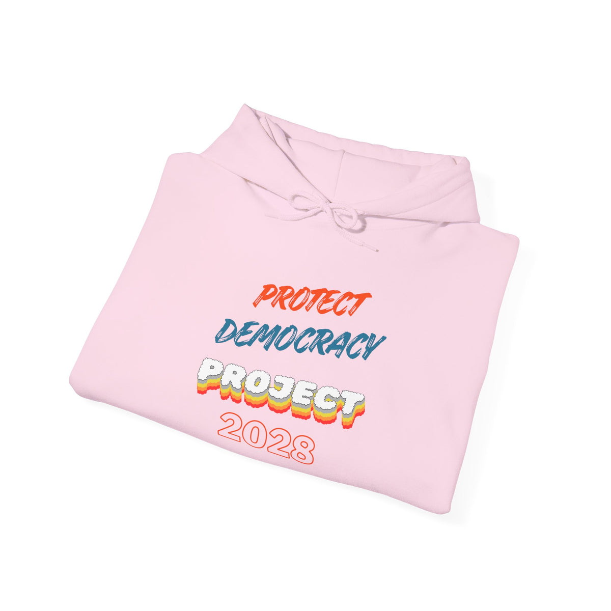 Protect Democracy Project 2028 Hoodie | Social Awareness