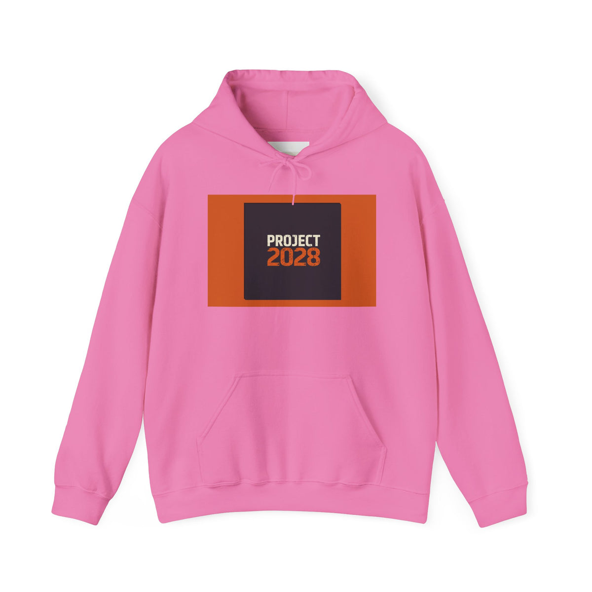 Project 2108 Graphic Hoodie | Democracy Isn't Automatic Back Print
