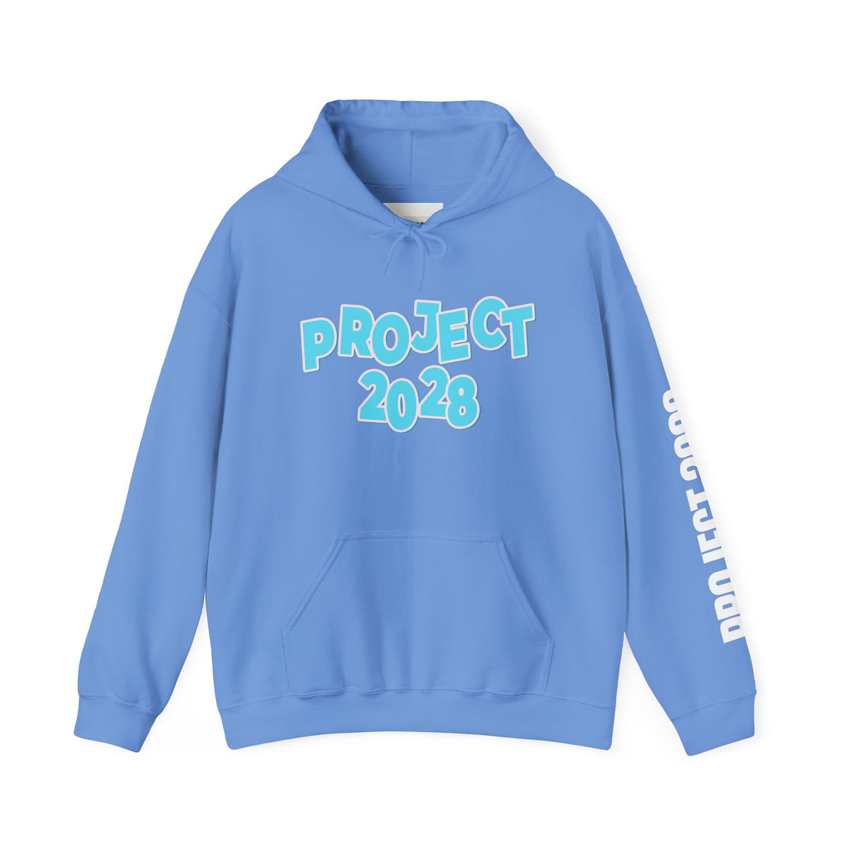 Project 2028 Hoodie | Democracy | Social Awareness