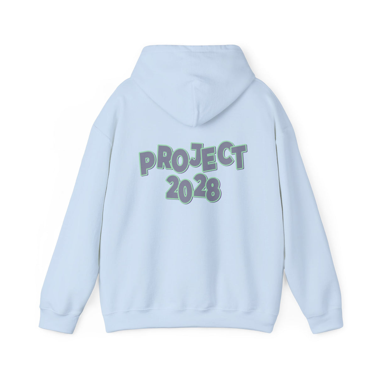 Project 2028 Hoodie | Protect Democracy graphic hoodie