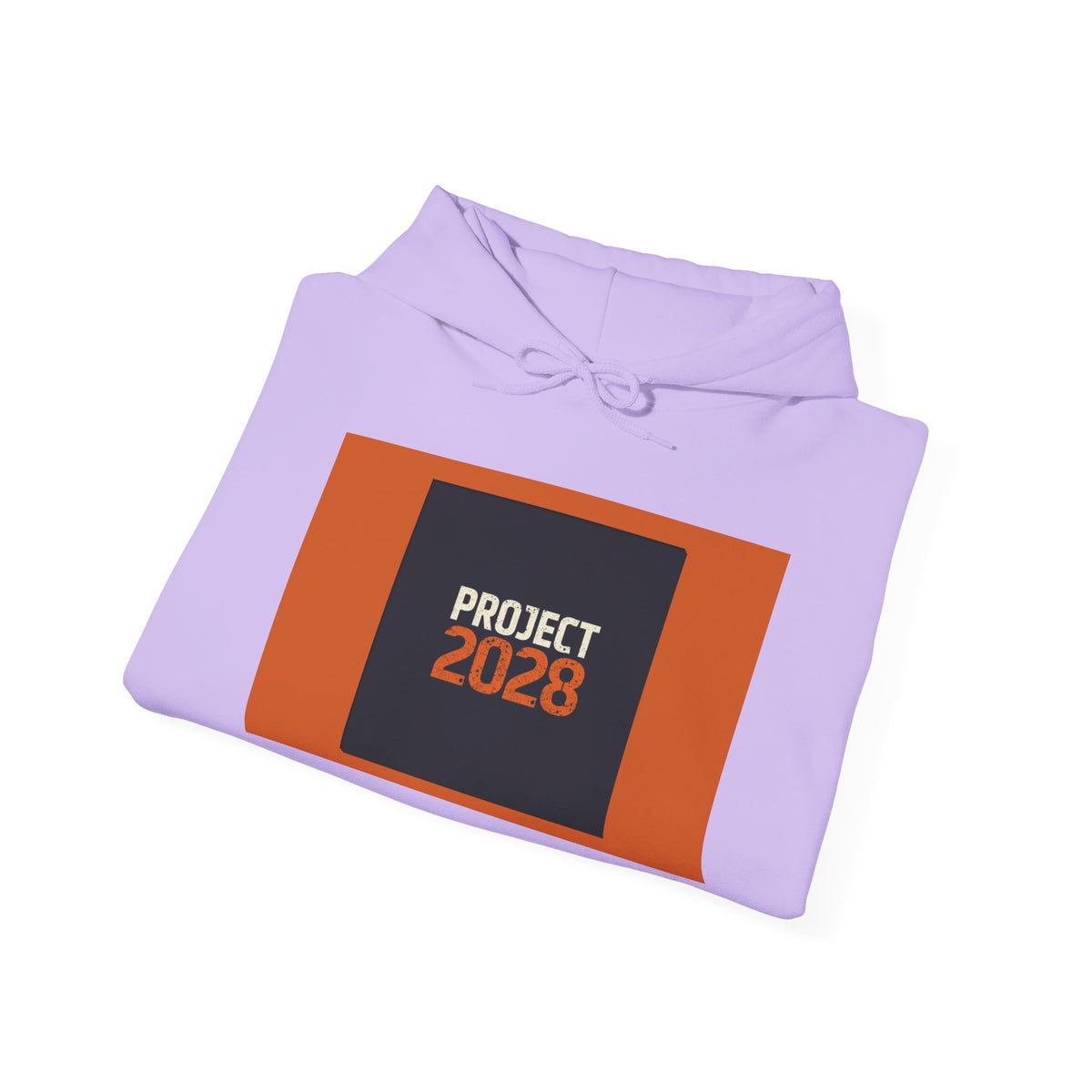 Copy of Copy of Project 2028 Graphic Hoodie | Democracy