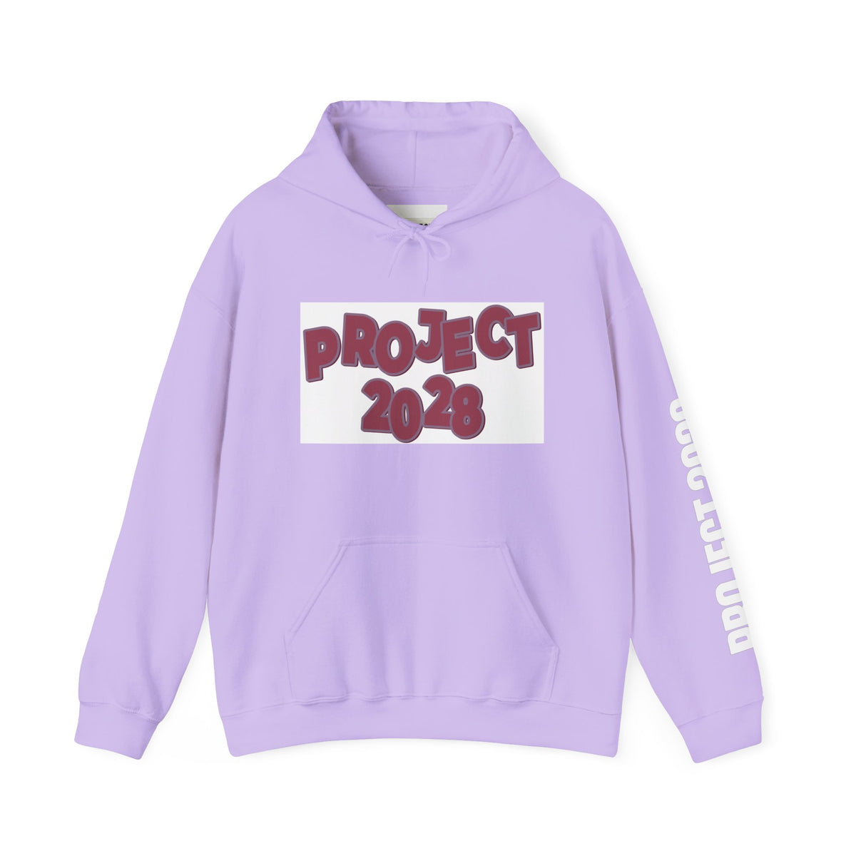 Project 2028 hoodie | Democracy Isn't Automatic back print