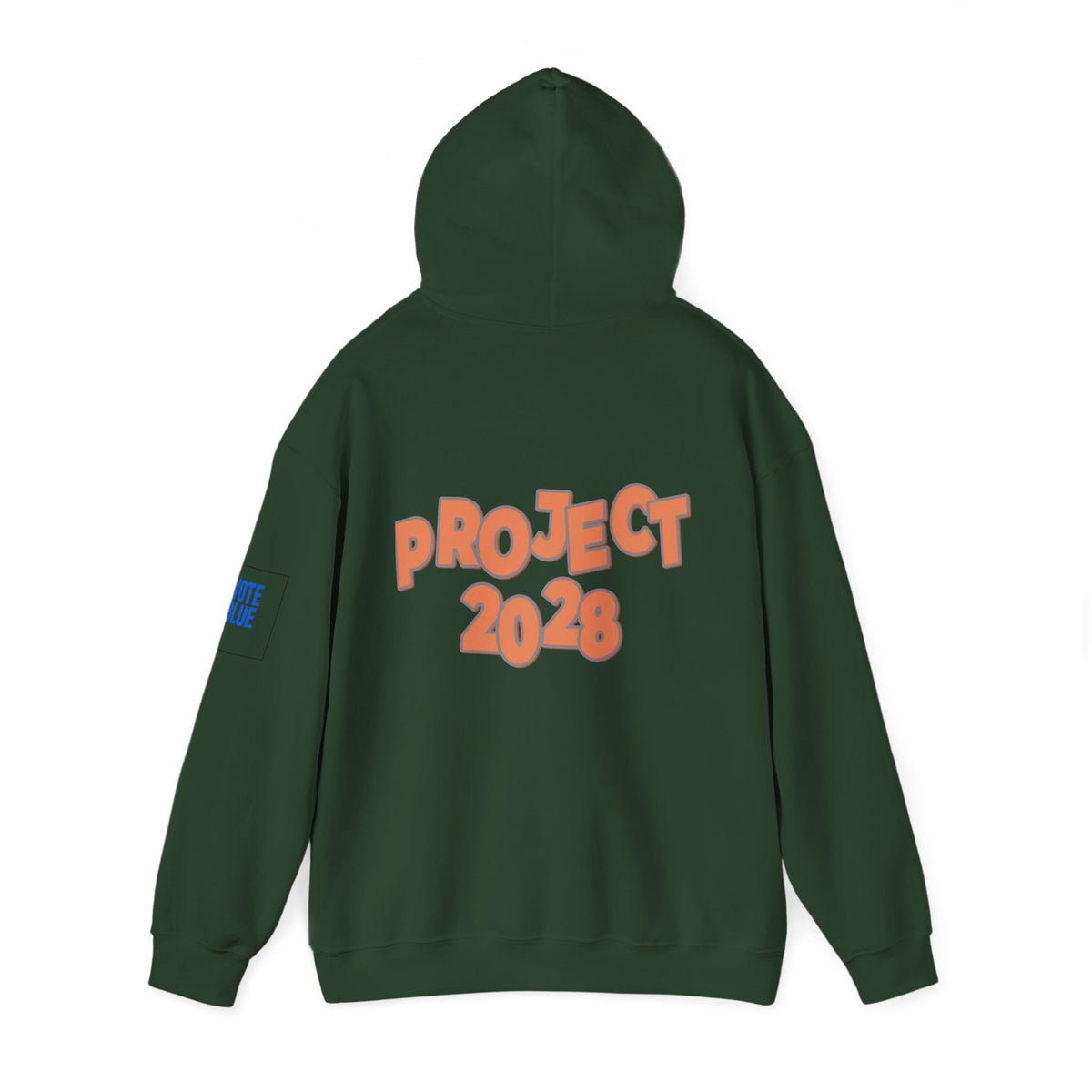 Protect Democracy Project 2028 Hoodie | Social Awareness