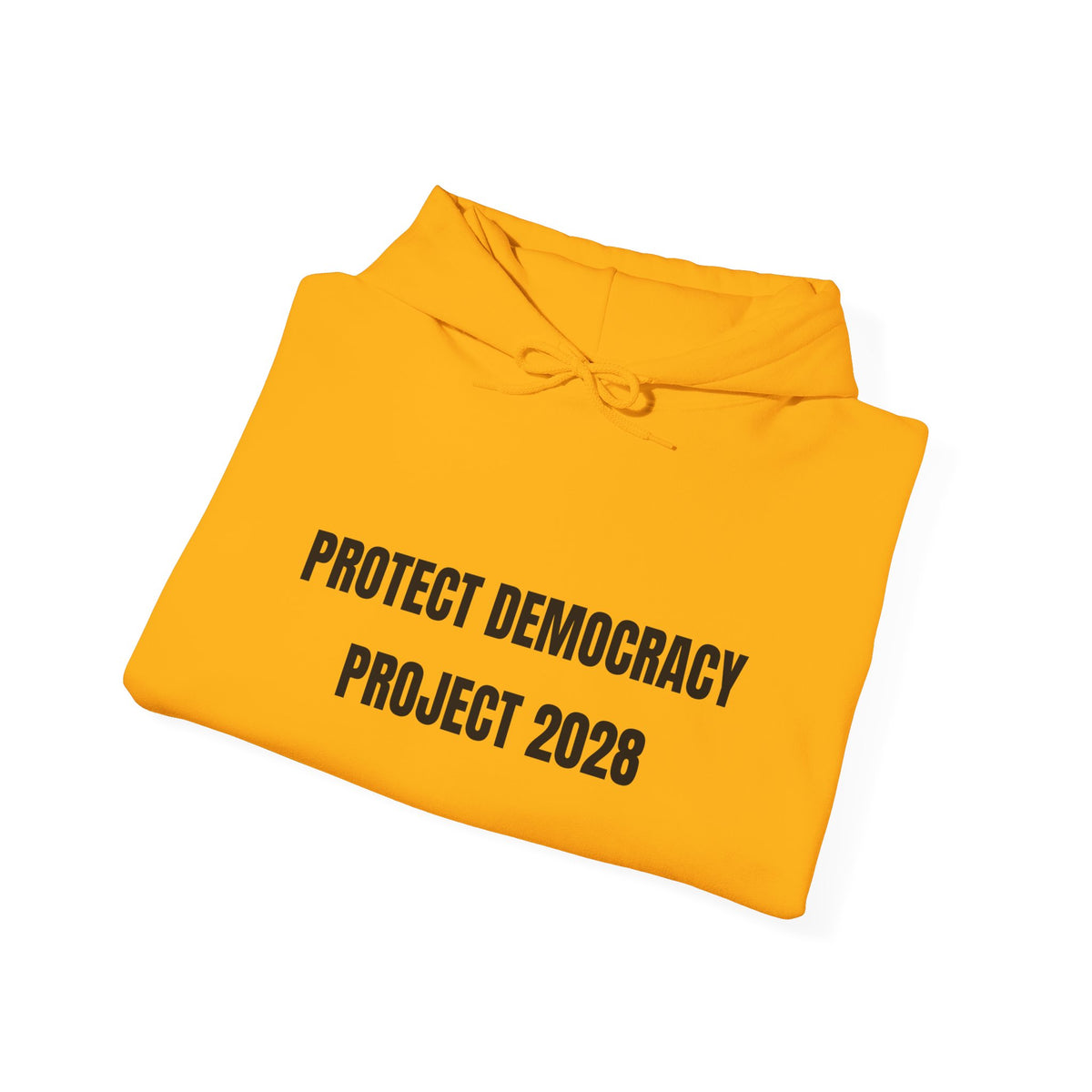 Protect Democracy Project 2028 Hoodie | Social Awareness