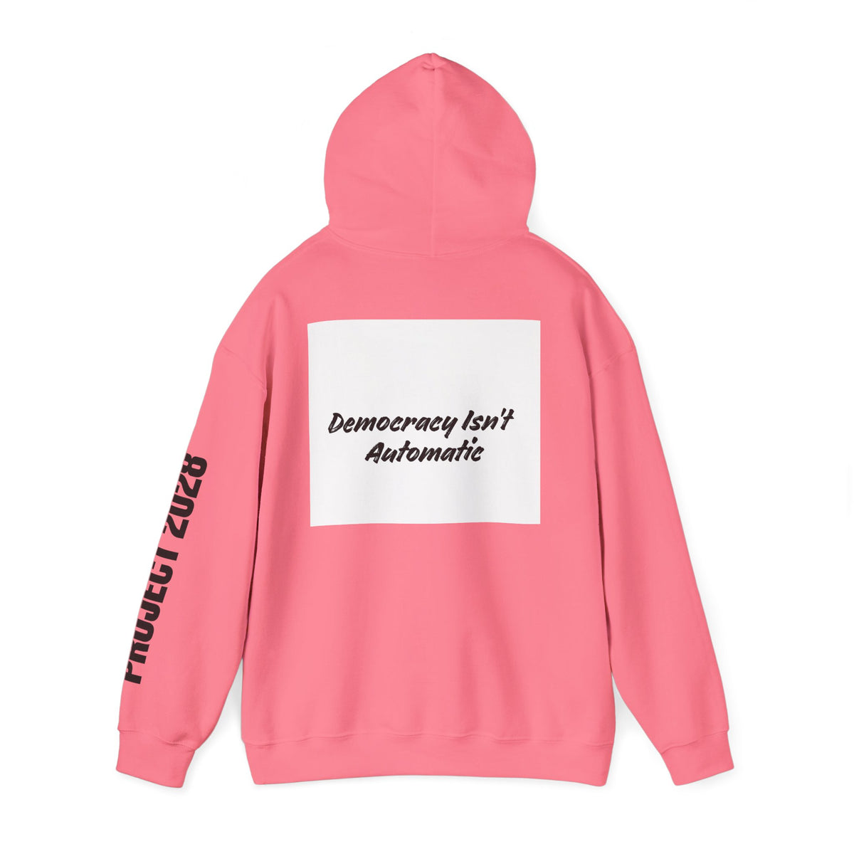 Protect Democracy Project 2028 Hoodie | Social Awareness