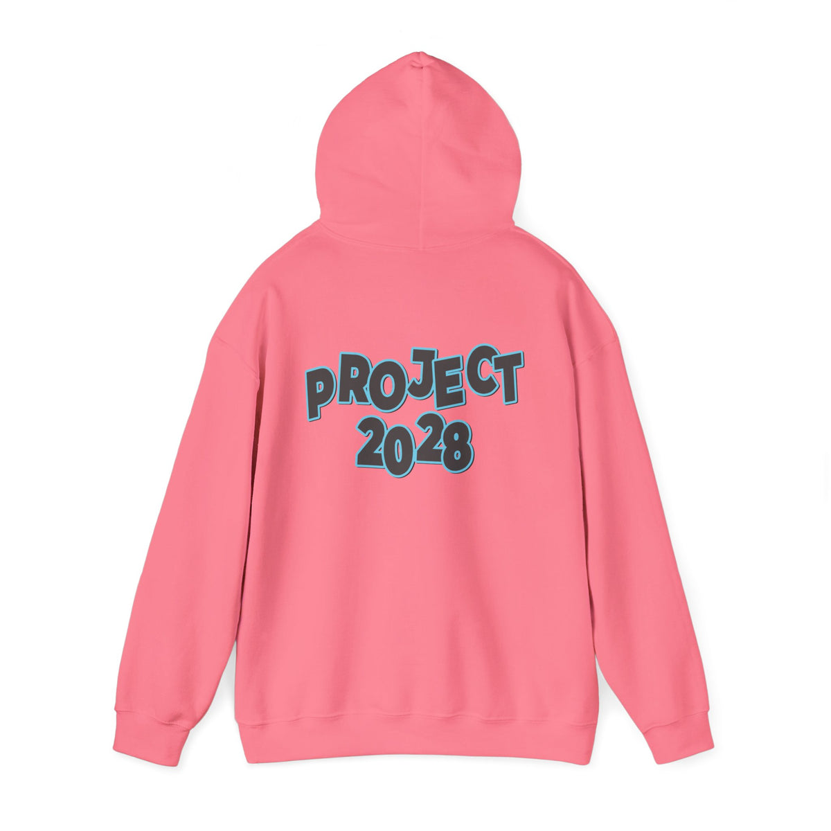 Project 2028 Hoodie | Protect Democracy, Project 2028 design