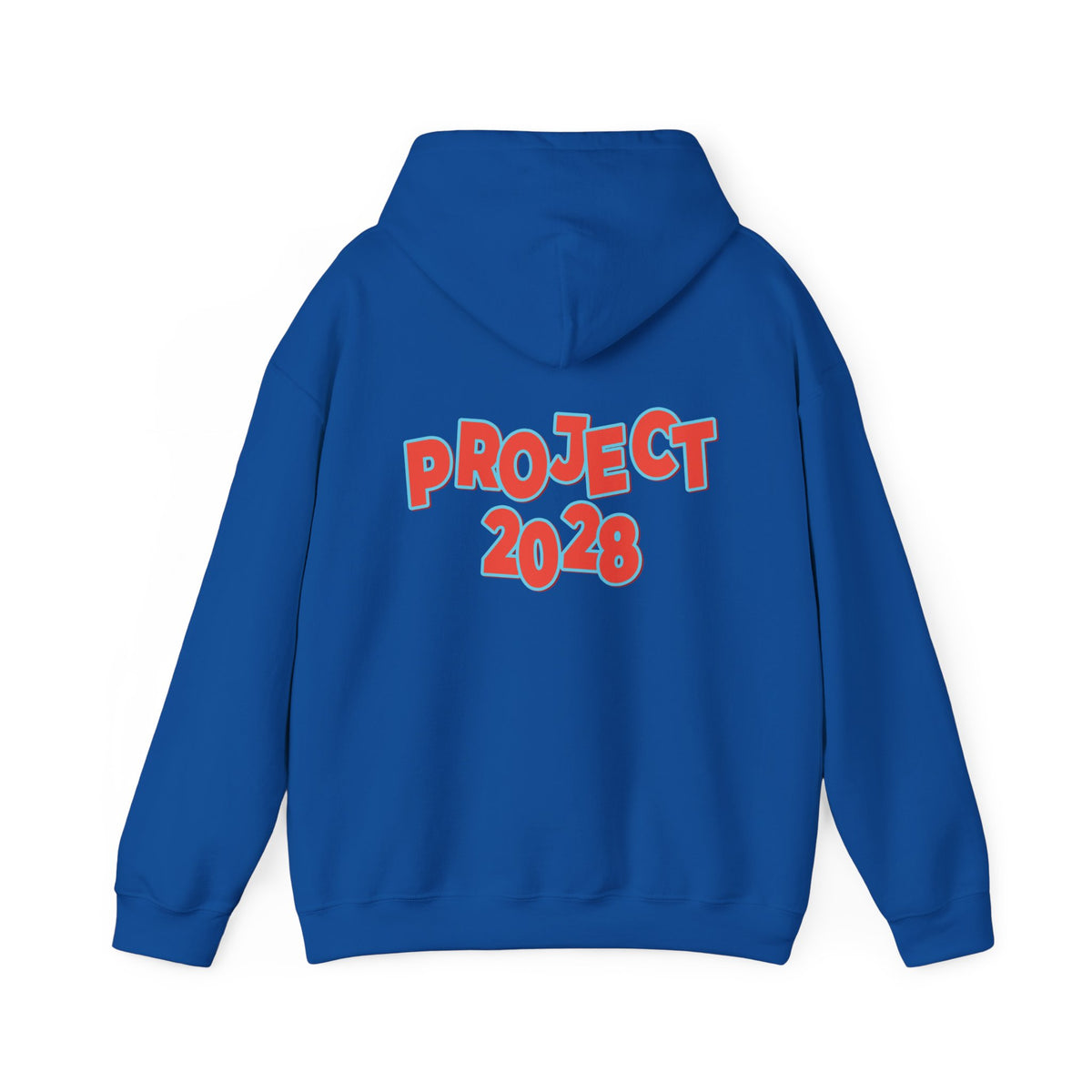 Action Project 2028 Hoodie | Democracy Movement Sweatshirt