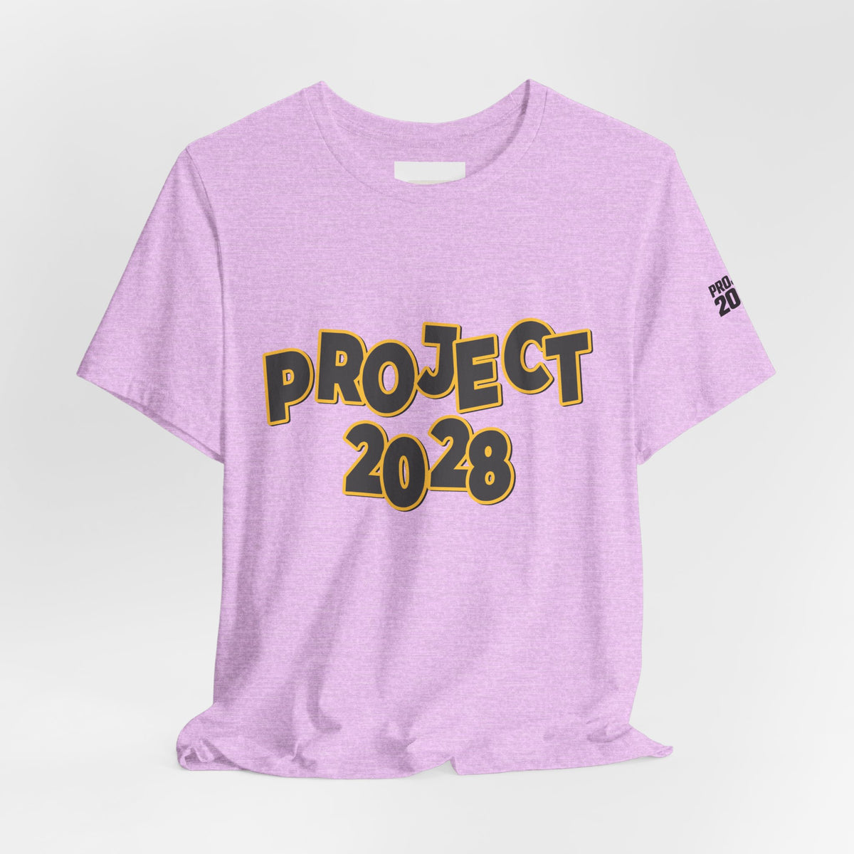 Project 2028 Graphic Tee — "Spirit Airlines Is Gone. Democracy Could Be Next. Vote Blue." Political Statement T-Shirt - Make a Statement Without Saying a Word!