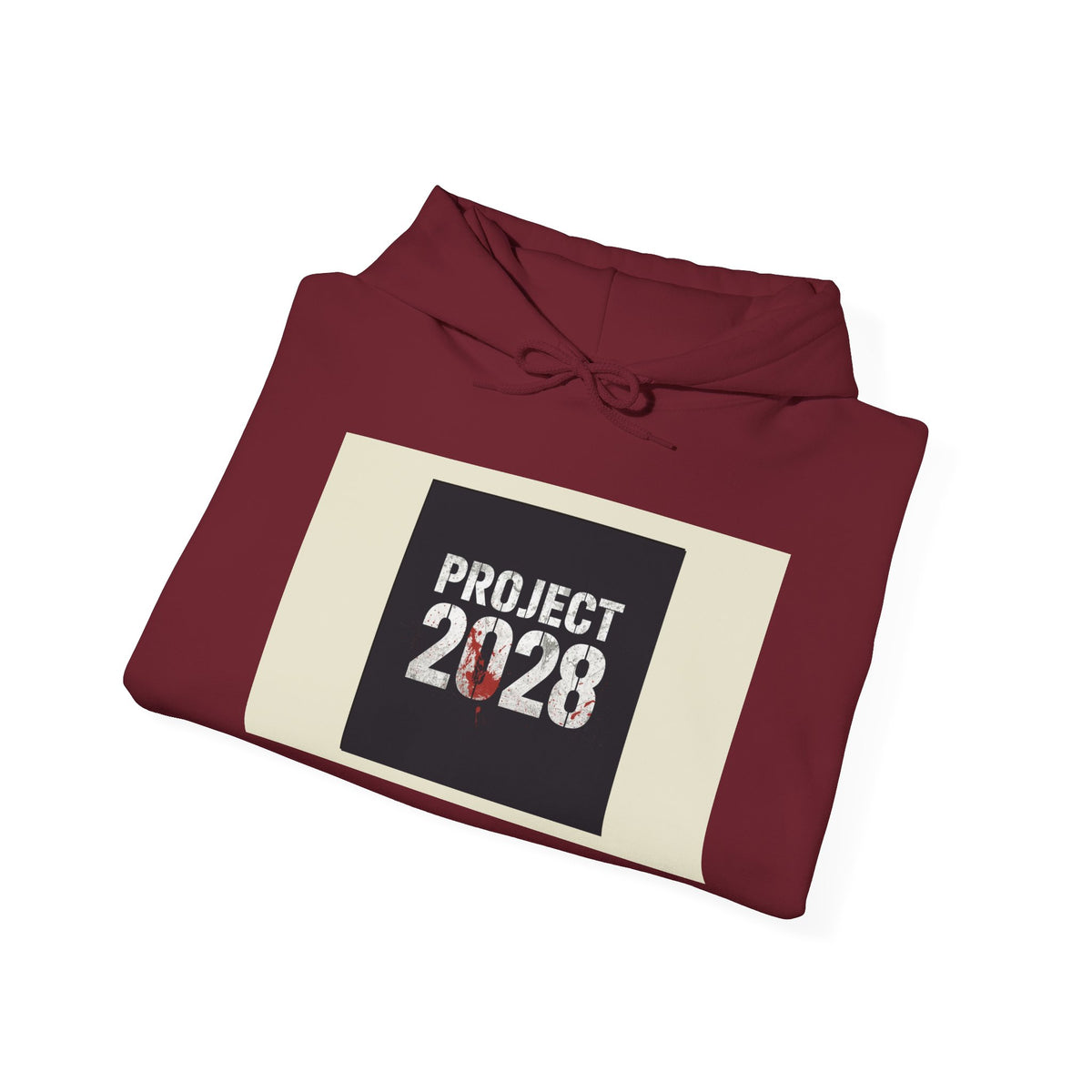 Product 2028 graphic hoodie | Democracy | Social Justice