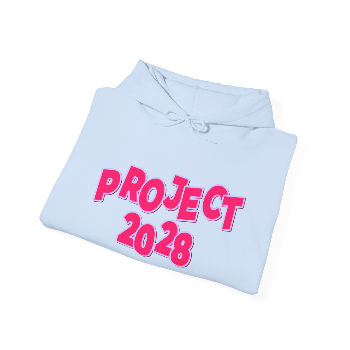 Project 2028 Hoodie | Democracy | Civic Duty