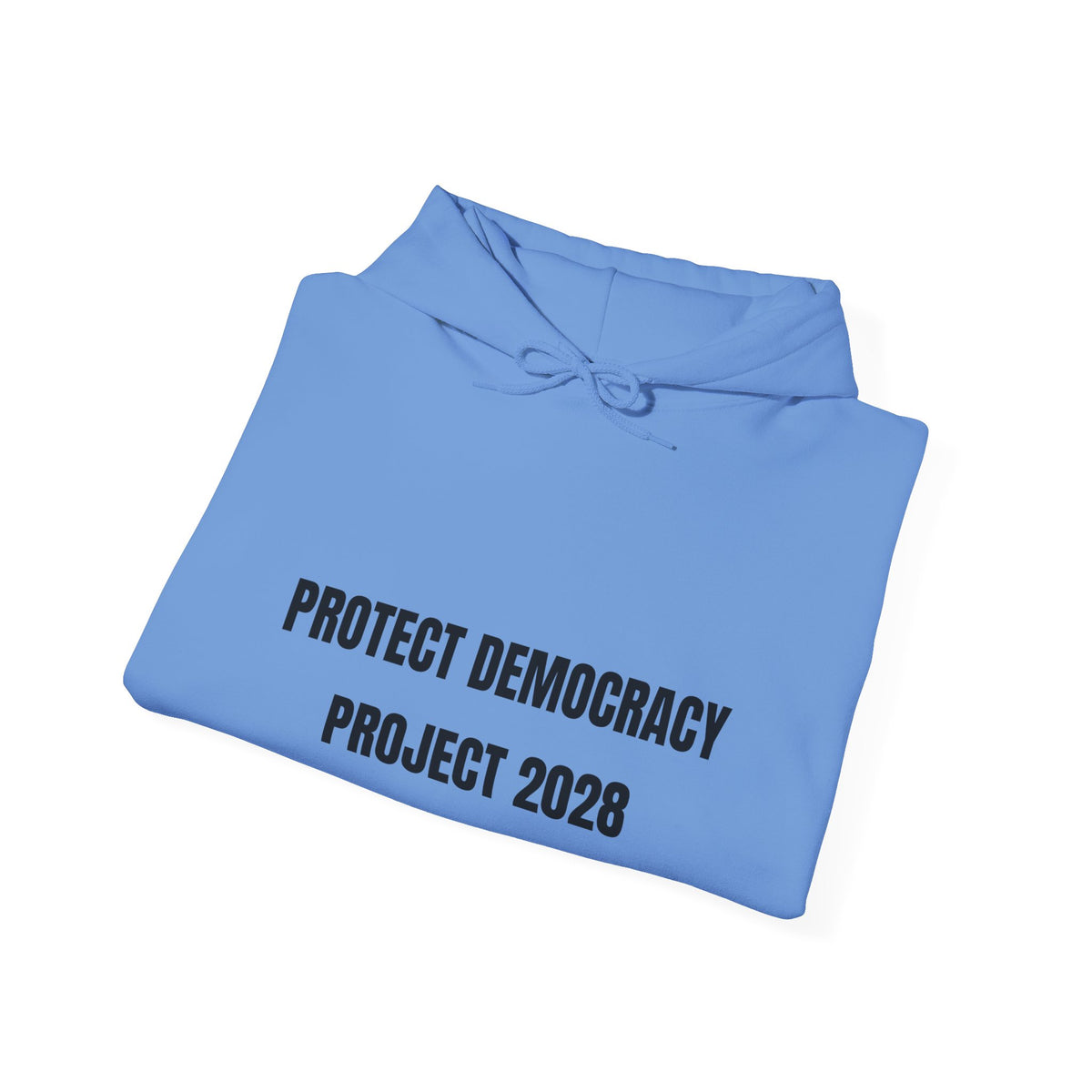 Protect Democracy Project 2028 Hoodie | Social Awareness