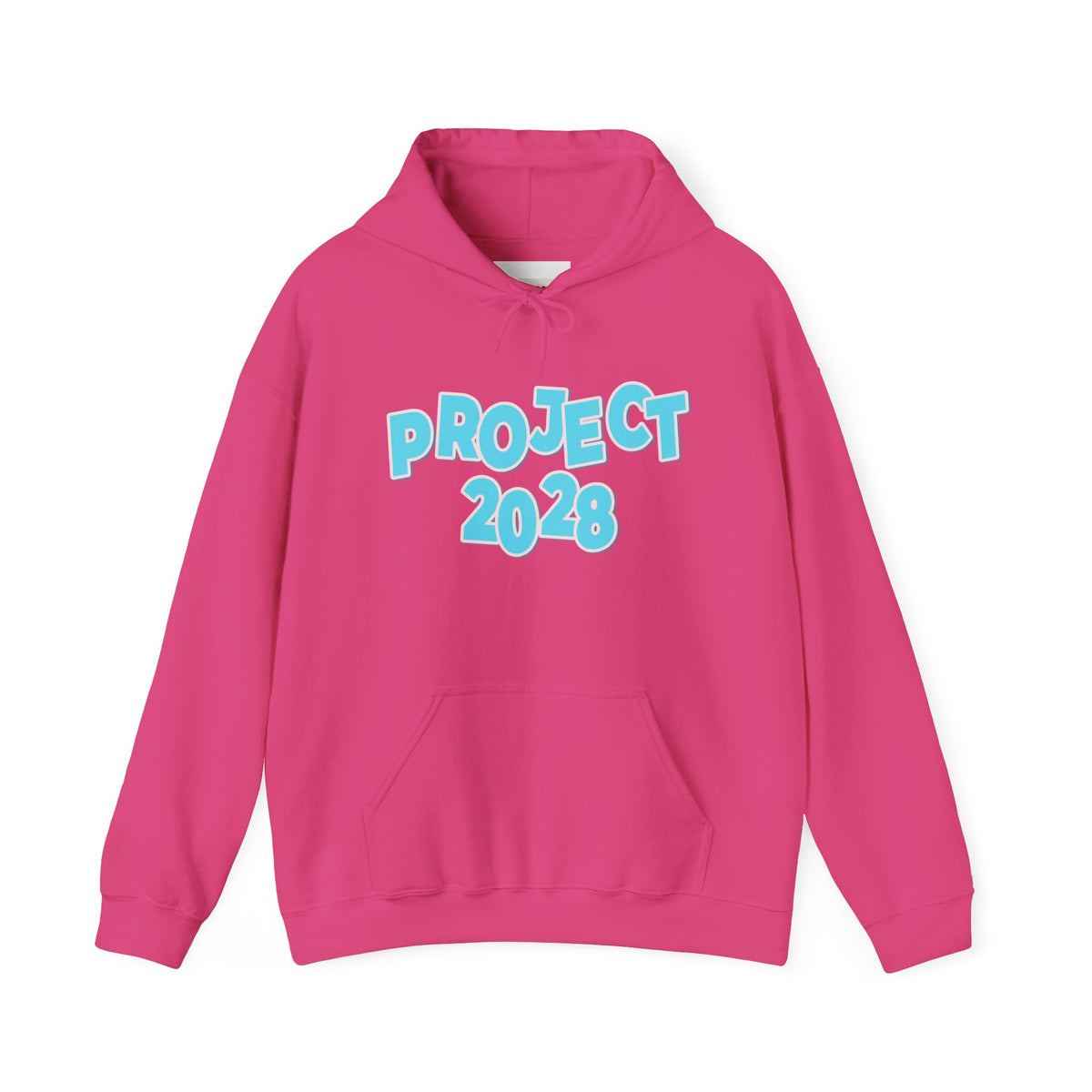 Project 2028 Hoodie | Democracy | Social Awareness