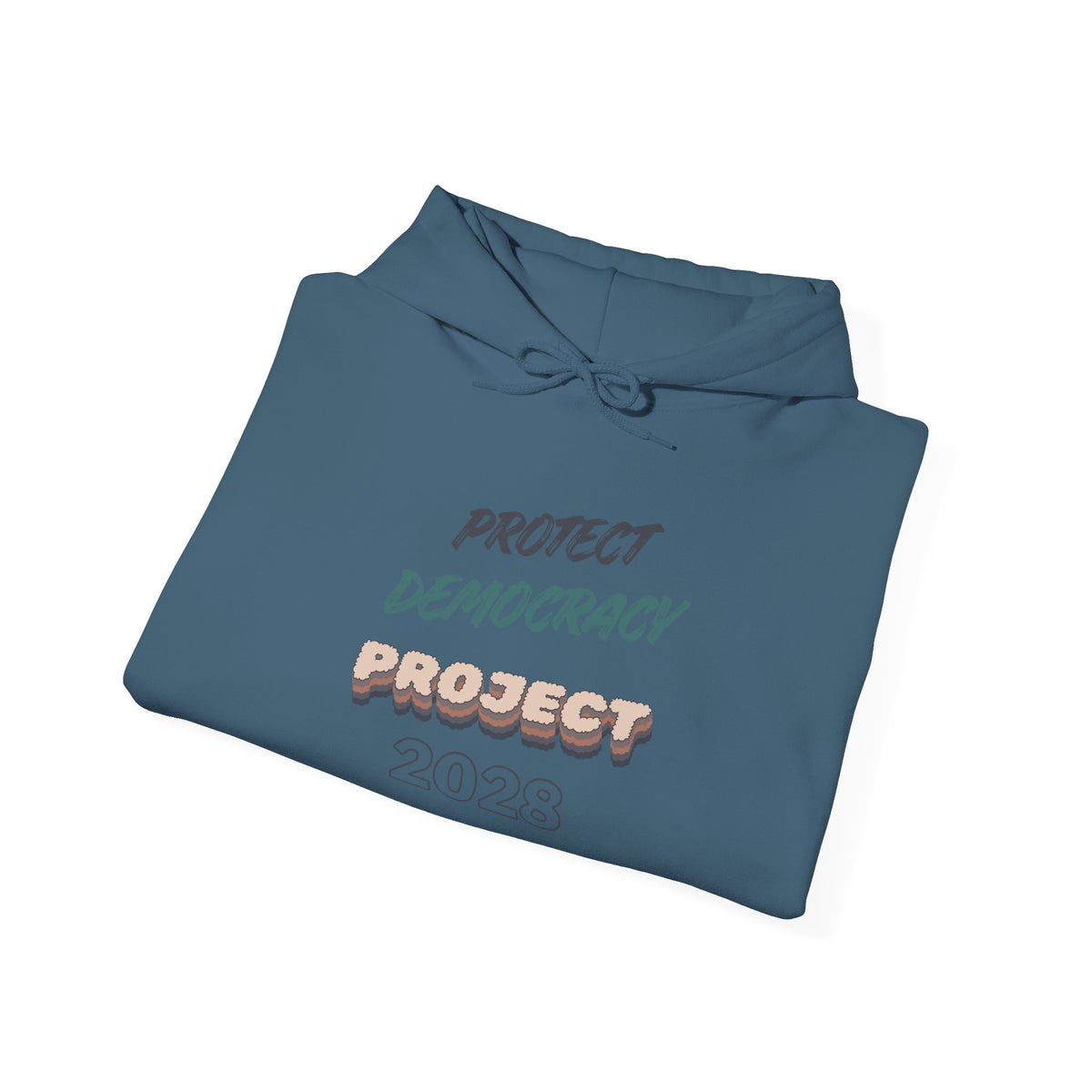 Project 2028 Hoodie | Protect Democracy graphic hoodie
