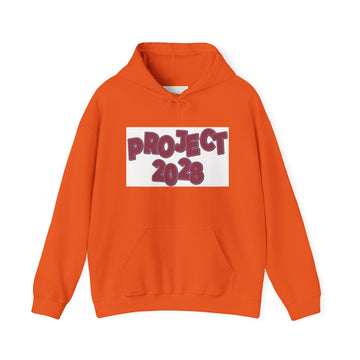 Project 2028 hoodie | Democracy Isn't Automatic back print
