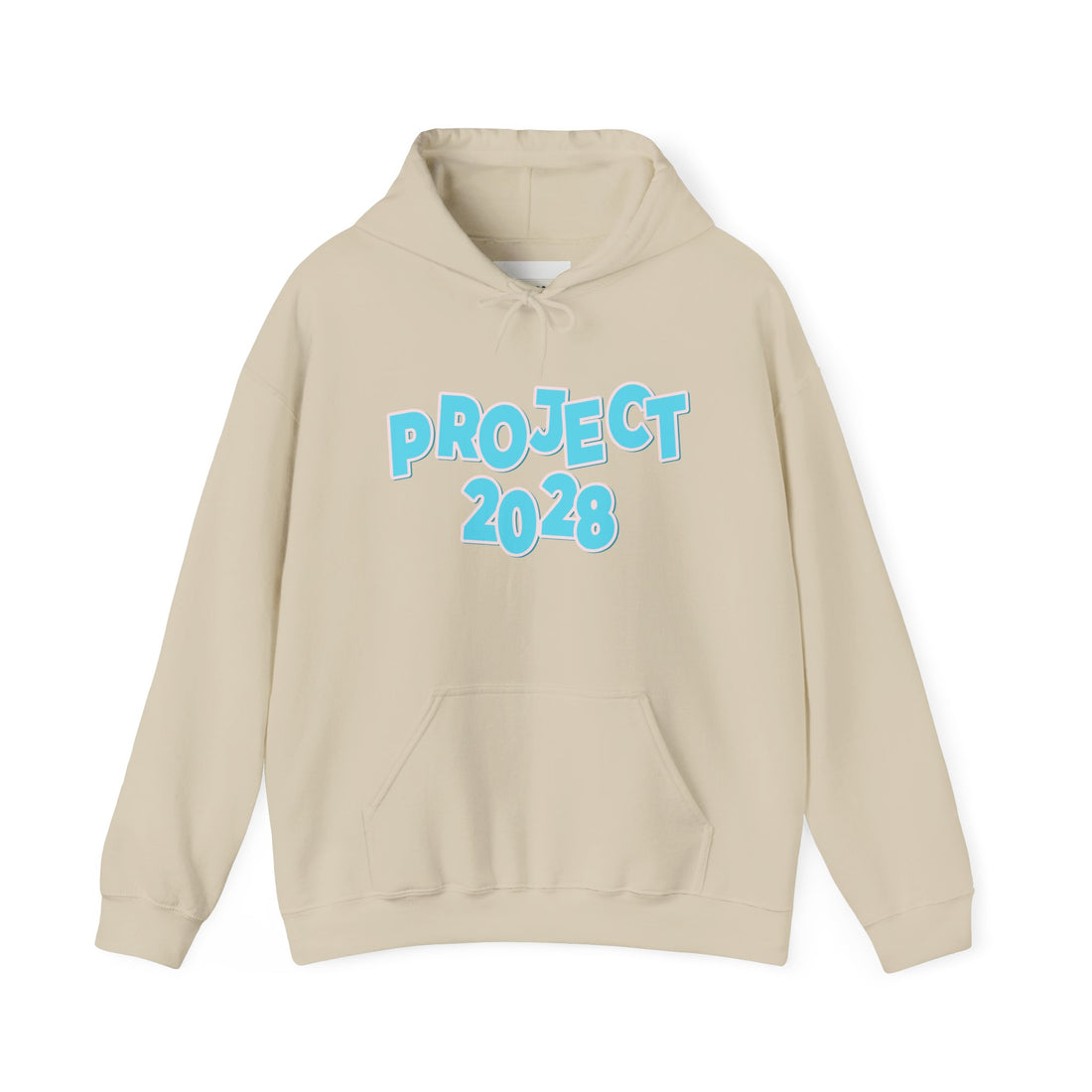 Project 2028 Hoodie | Democracy | Social Awareness