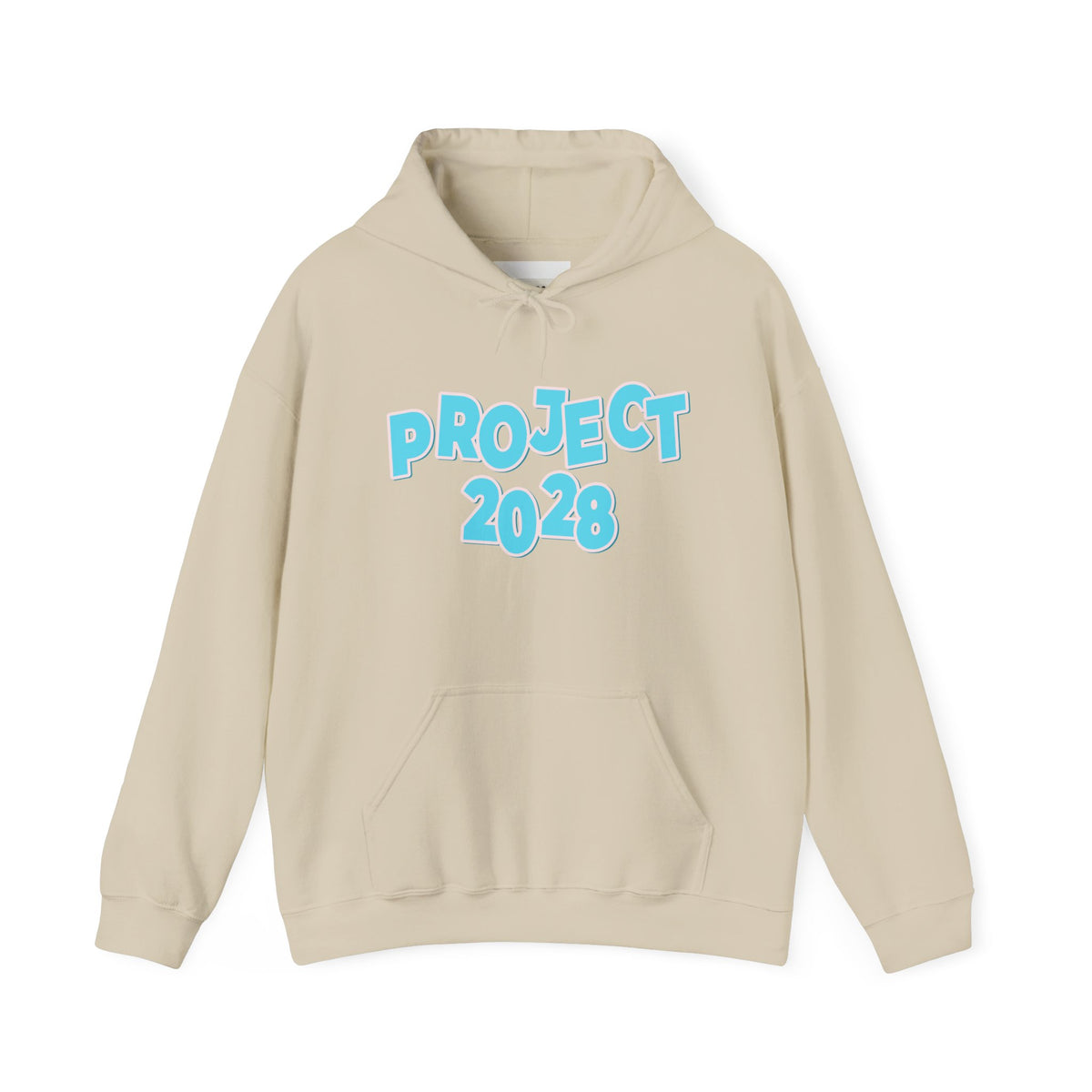 Project 2028 Hoodie | Democracy | Social Awareness