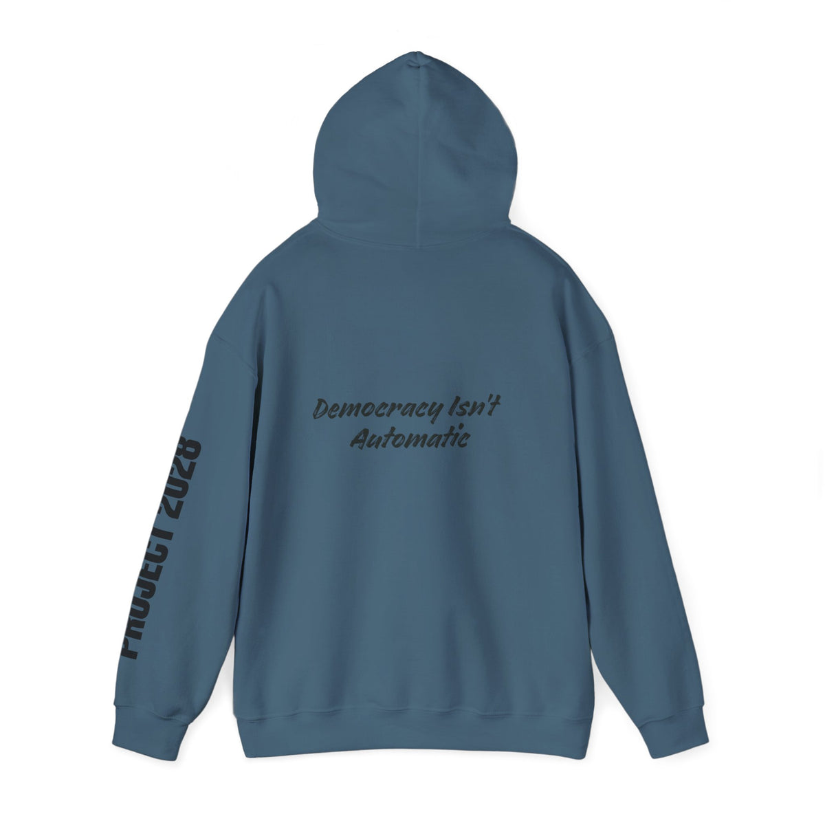 Protect Democracy Project 2028 Hoodie | Social Awareness