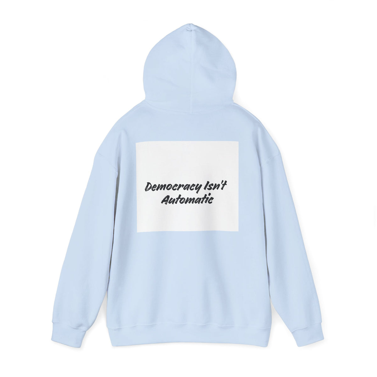 Protect Democracy Project 2028 Hoodie | Social Awareness