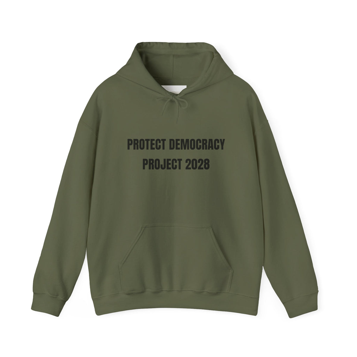 Protect Democracy Project 2028 Hoodie | Social Awareness