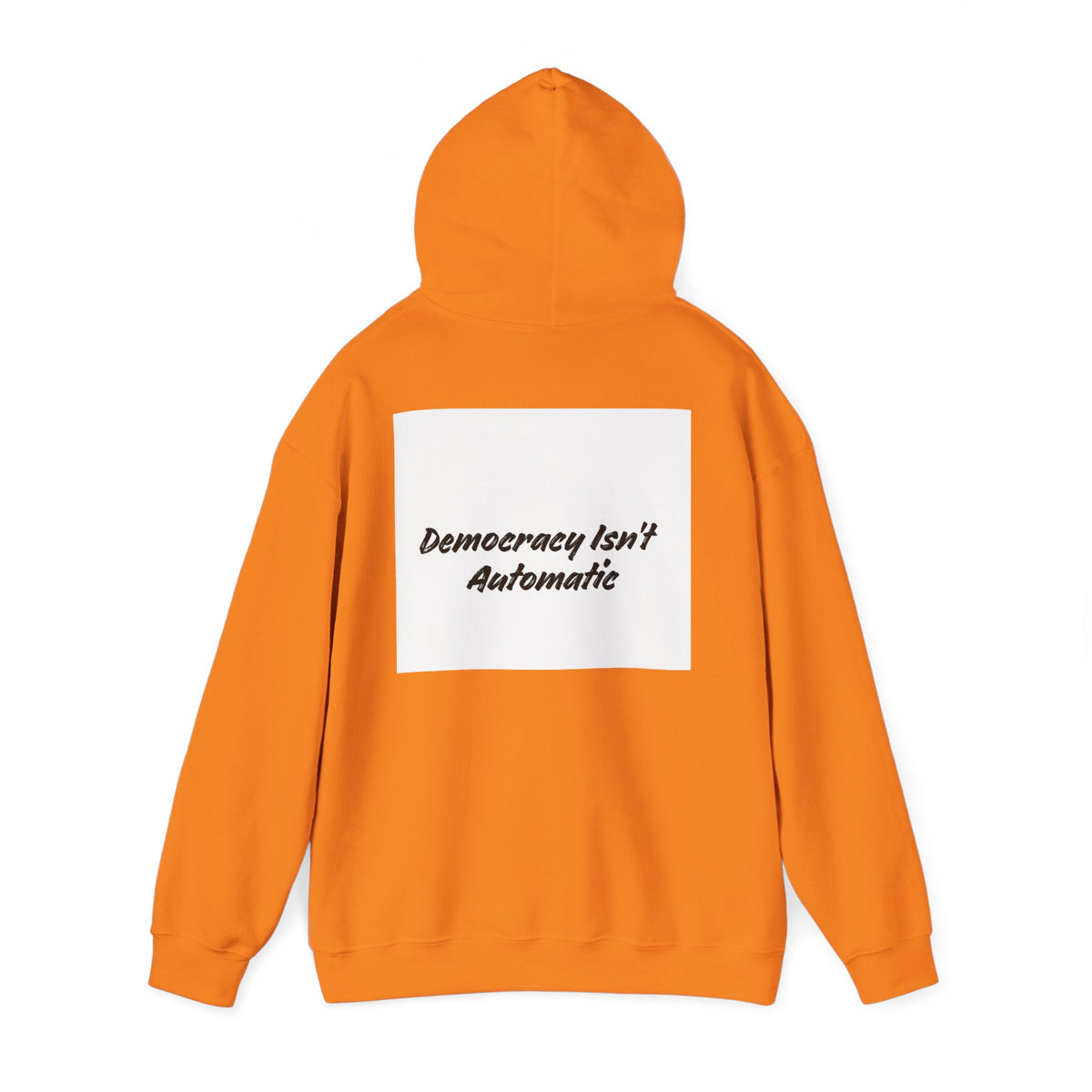 Protect Democracy Project 2028 Hoodie | Social Awareness