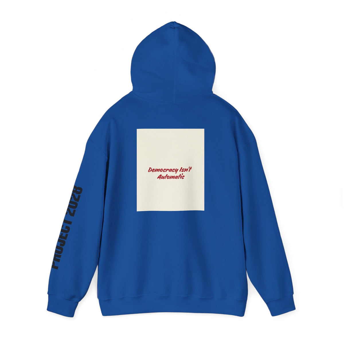Product 2028 graphic hoodie | Democracy | Social Justice