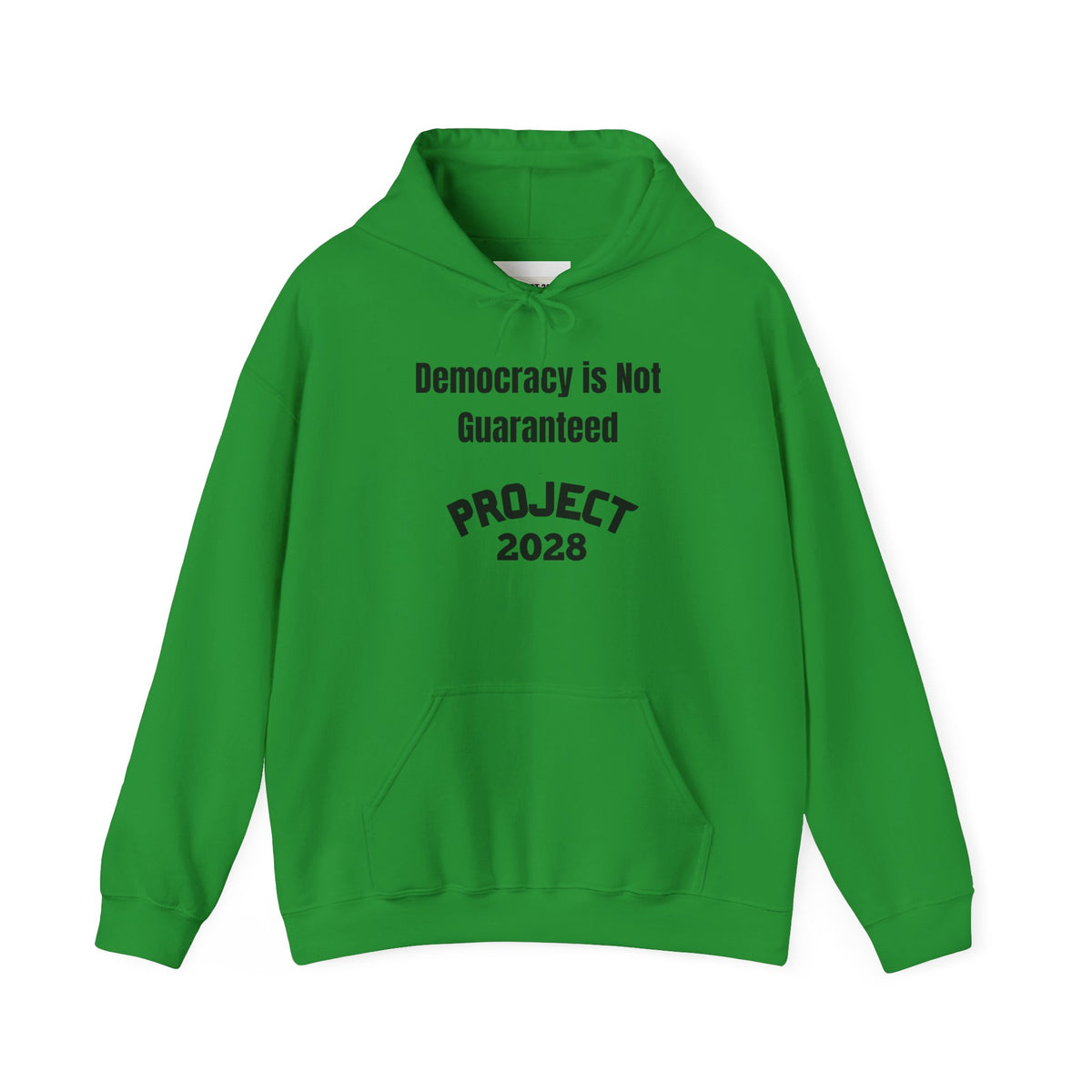Copy of Project 2028 hoodie | Democracy | Social Awareness