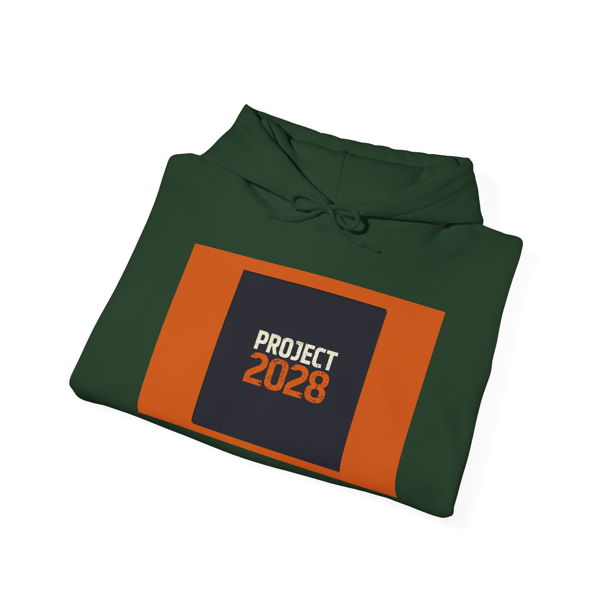 Project 2028 Graphic Hoodie | Democracy