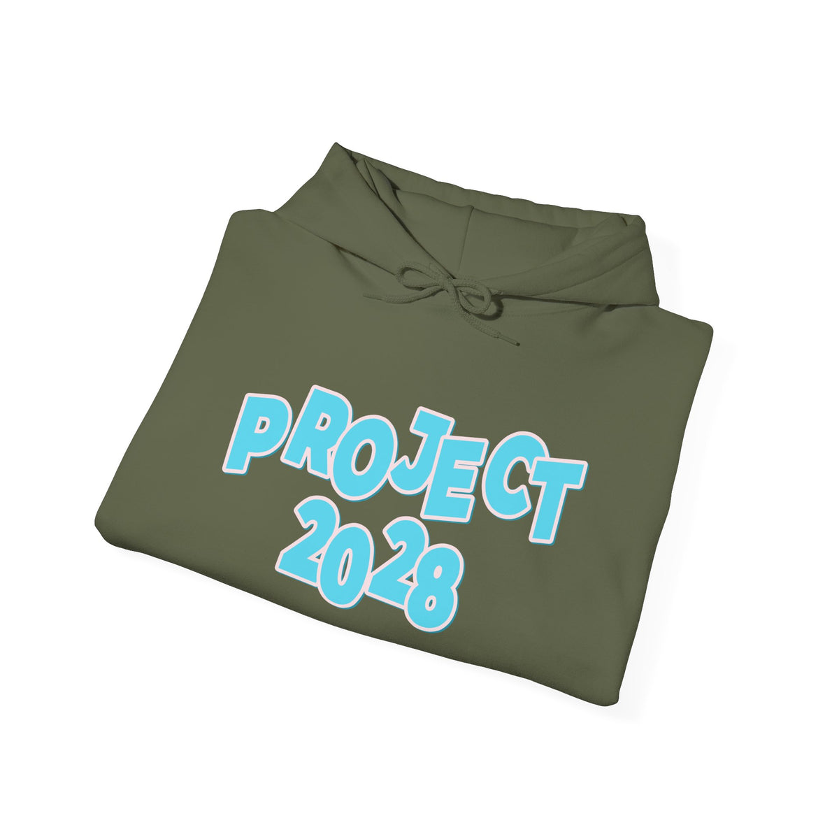 Project 2028 Hoodie | Democracy | Social Awareness