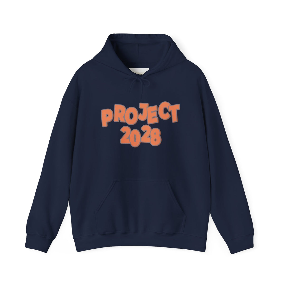 Project 2028 Hoodie | Democracy | Social Justice Message