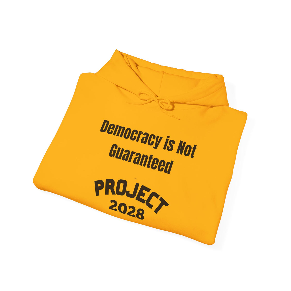 Copy of Project 2028 hoodie | Democracy | Social Awareness