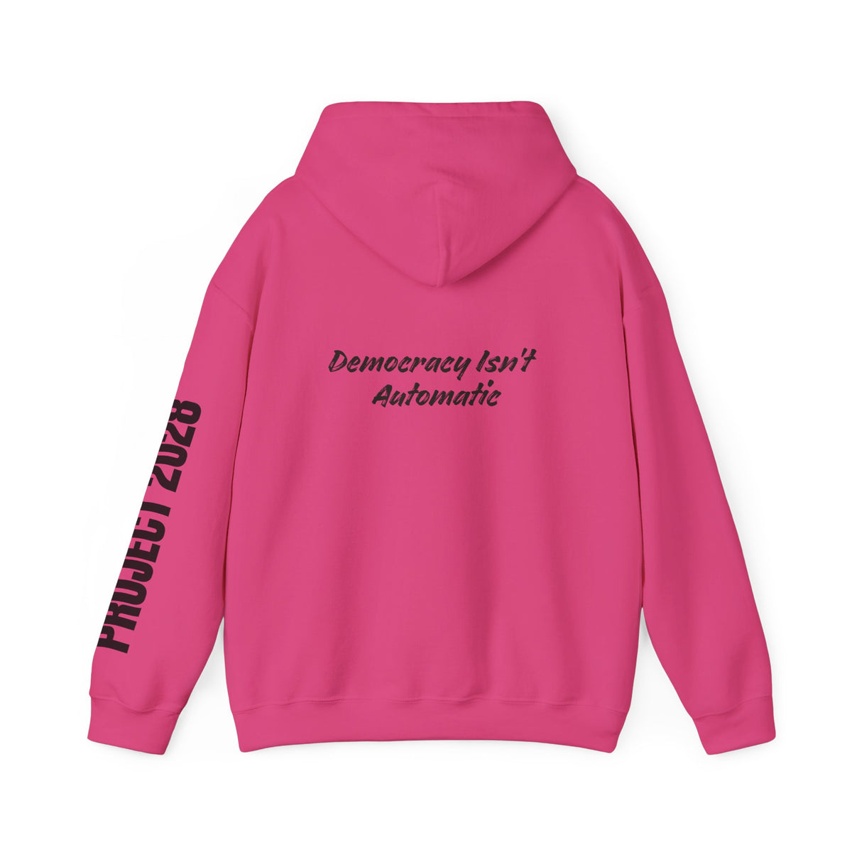 Protect Democracy Project 2028 Hoodie | Social Awareness
