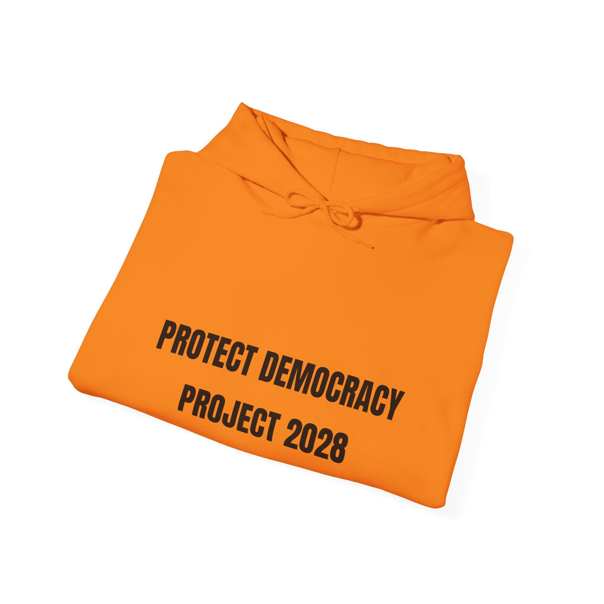 Protect Democracy Project 2028 Hoodie | Social Awareness
