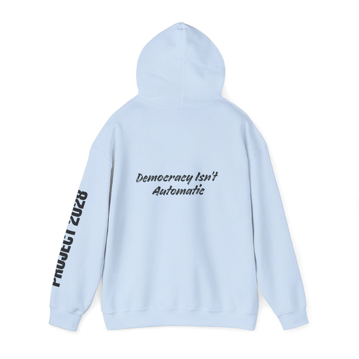 Protect Democracy Project 2028 Hoodie | Social Awareness