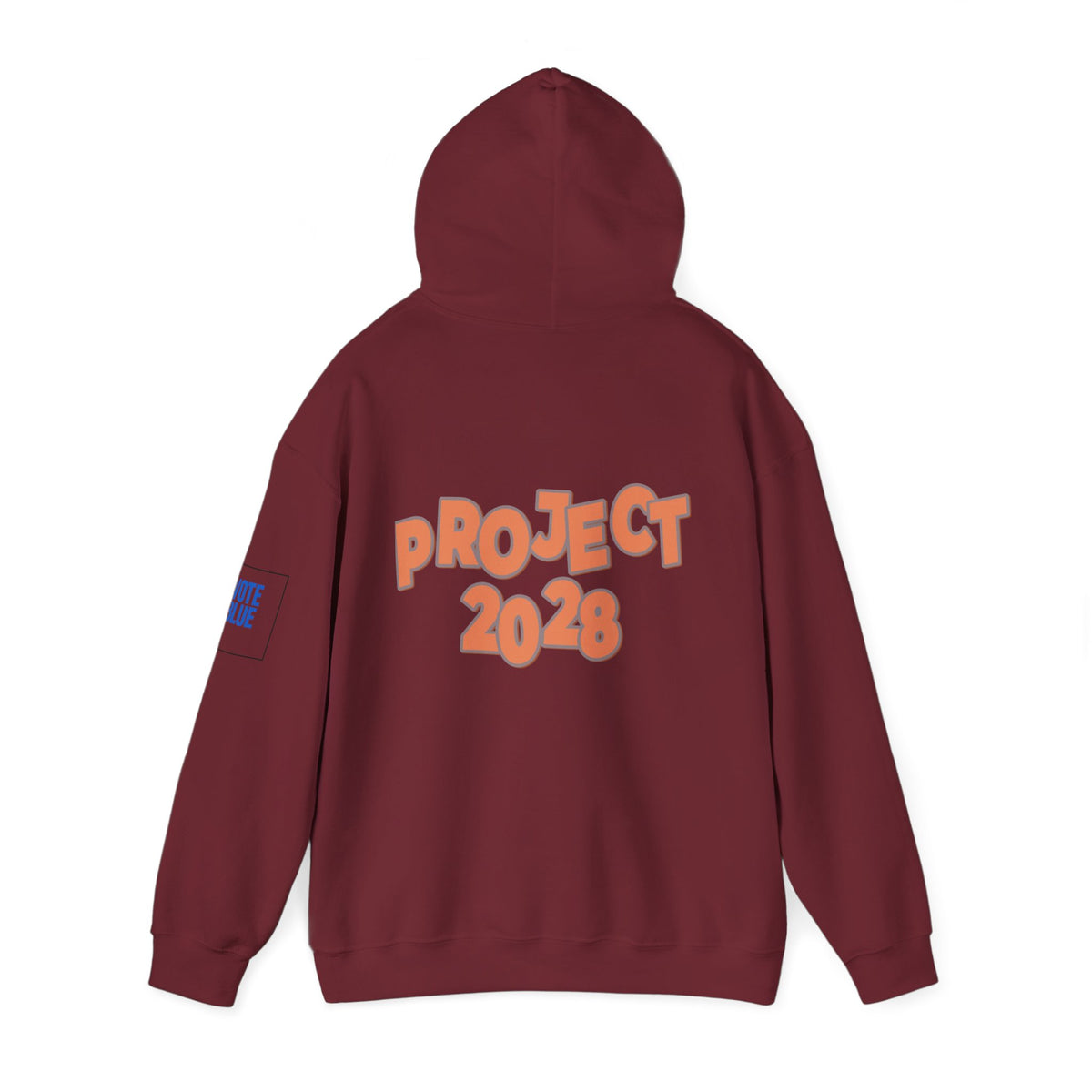 Protect Democracy Project 2028 Hoodie | Social Awareness