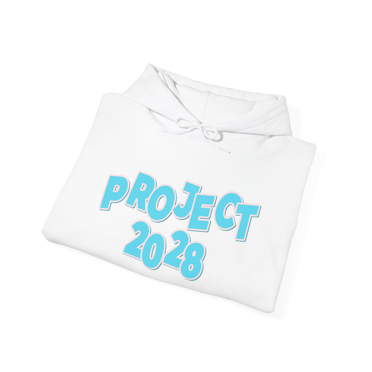 Project 2028 Hoodie | Democracy | Social Awareness