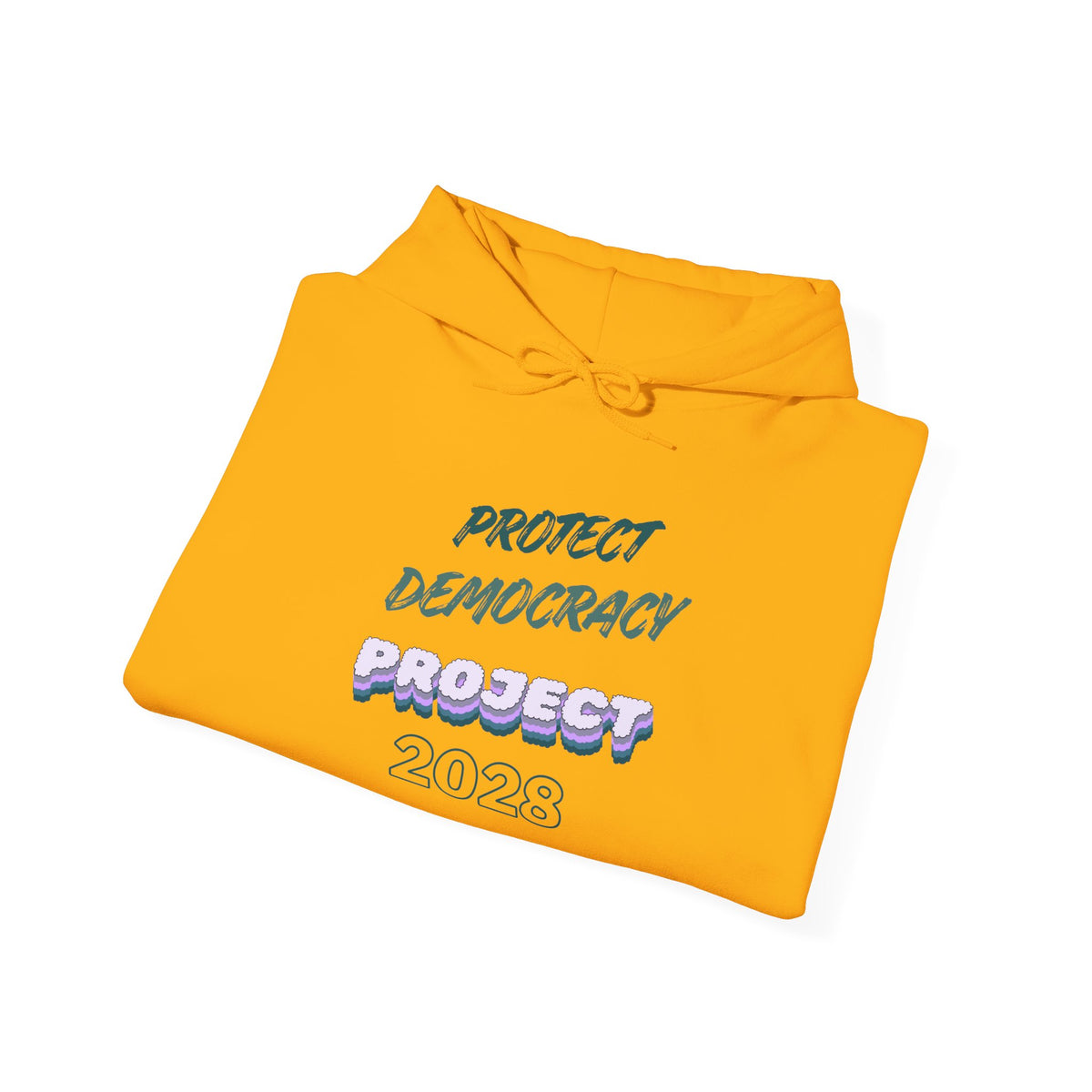 Project 2028 Hoodie | Protect Democracy, Project 2028 design