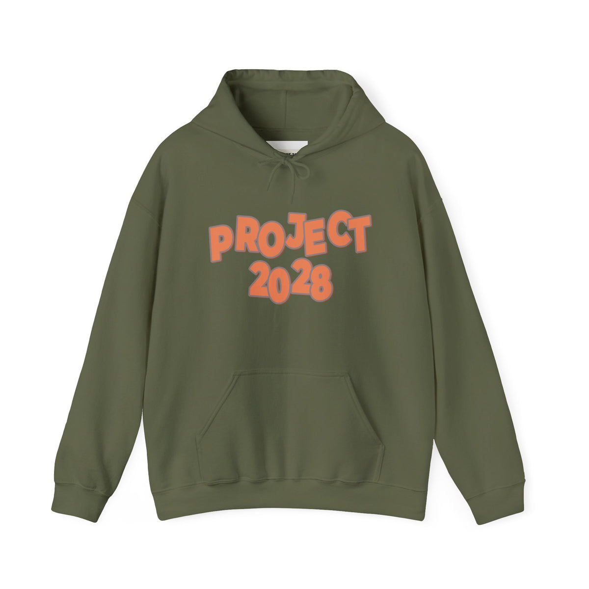 Project 2028 Hoodie | Democracy | Social Justice Message