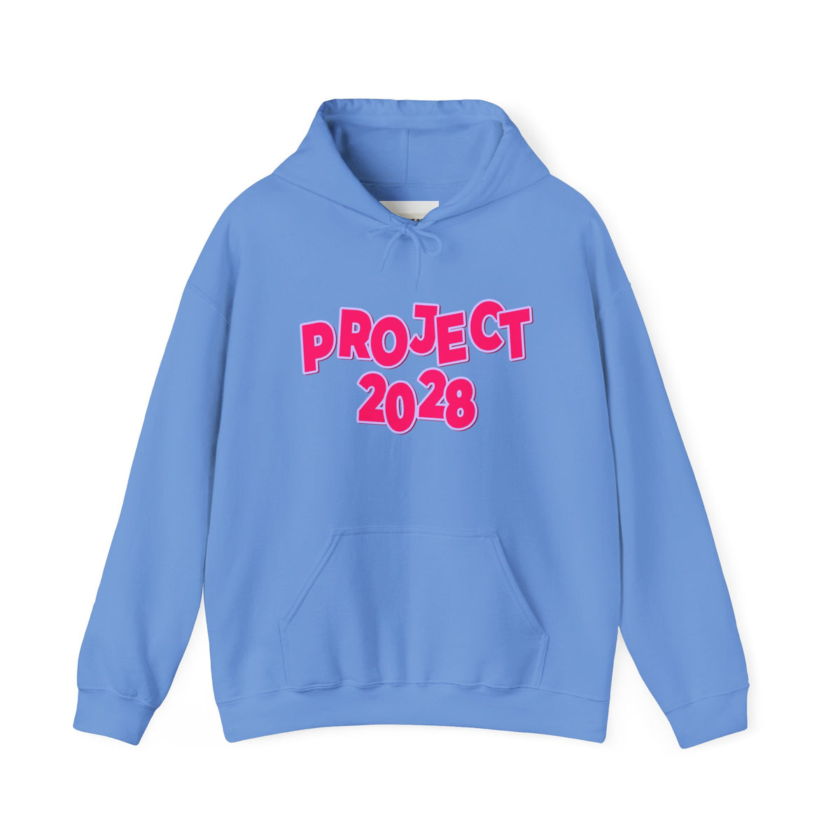 Project 2028 | Social Awareness