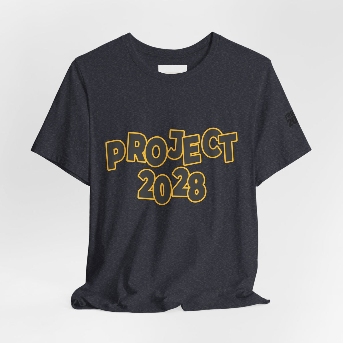 Project 2028 Graphic Tee — "Spirit Airlines Is Gone. Democracy Could Be Next. Vote Blue." Political Statement T-Shirt - Make a Statement Without Saying a Word!