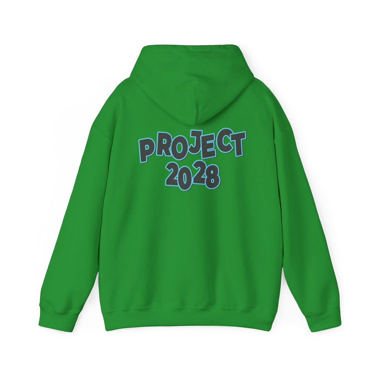 Project 2028 Hoodie | Protect Democracy, Project 2028 design