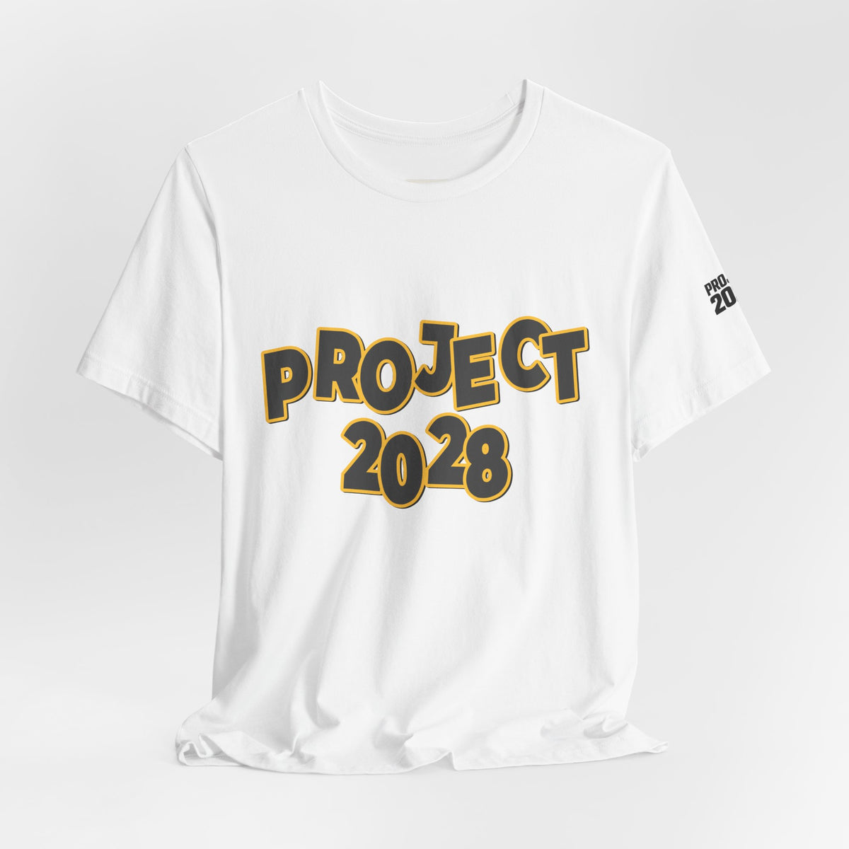 Project 2028 Graphic Tee — "Spirit Airlines Is Gone. Democracy Could Be Next. Vote Blue." Political Statement T-Shirt - Make a Statement Without Saying a Word!