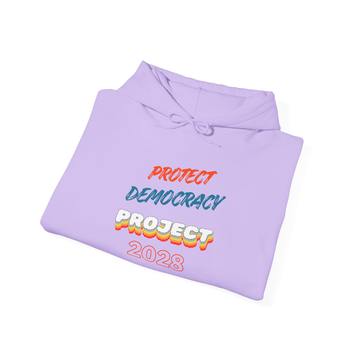 Protect Democracy Project 2028 Hoodie | Social Awareness