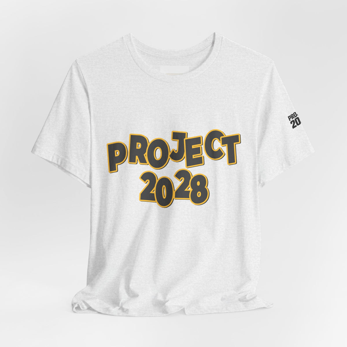 Project 2028 Graphic Tee — "Spirit Airlines Is Gone. Democracy Could Be Next. Vote Blue." Political Statement T-Shirt - Make a Statement Without Saying a Word!
